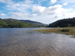 Looking out over Loch Achray Wallpaper