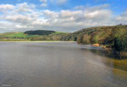 The North dorset trailway Wallpaper
