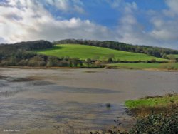 North Dorset Trailway Wallpaper
