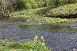 Springtime in english countrysaide river Wye Monsall Head Wallpaper