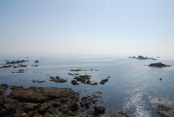 Lizard Point July 2013 Wallpaper