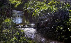 Stour Valley Spring Wallpaper