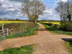 Stour Valley Spring North Dorset Wallpaper