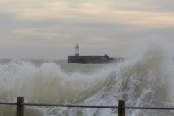 The Lighthouse, Newhaven Harbour, East Sussex Wallpaper