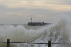 The Lighthouse, Newhaven Harbour, East Sussex Wallpaper