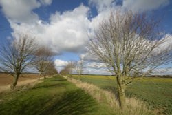 Bridleway just by Finmere, Oxfordshire Wallpaper