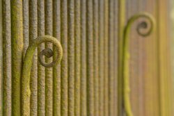 Church Railings, Chetwode, Bukinghamshire Wallpaper