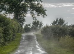 After Rain, Hillesden, Buckinghamshire Wallpaper