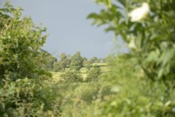 Hedge Gap, near Souldern, Oxfordshire Wallpaper