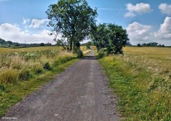 The North Dorset Trailway Wallpaper