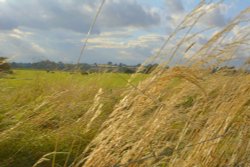 From a Footpath, Somerton, Oxfordshire Wallpaper