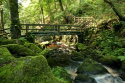 Footbridge over Burbage Brook Wallpaper