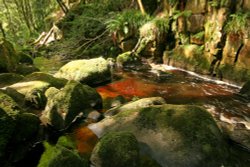 Padley Gorge Wallpaper