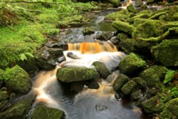 Padley Gorge Wallpaper