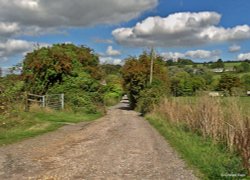 Durweston, Dorset. Wallpaper