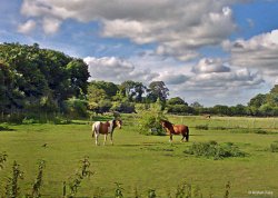 Durweston, Dorset. Wallpaper