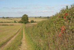 Track near Souldern, Oxfordshire Wallpaper
