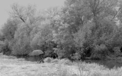 Fisherman by the Cherwell, Oxford Wallpaper