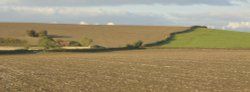 Farmland near Marsh Gibbon, Buckinghamshire Wallpaper