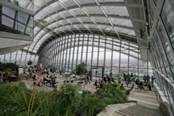 Sky Garden London Wallpaper