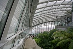 Sky Garden London Wallpaper