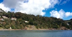 Castle Ruin on the riverbank at Dartmouth Wallpaper