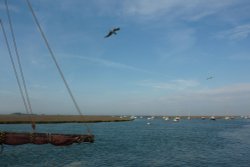 Wells-next-the-Sea Harbour (1) Wallpaper