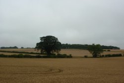 Walsingham Light Railway (4) Wallpaper