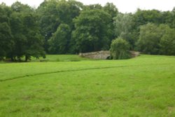 Walsingham Abbey Grounds(1) Wallpaper