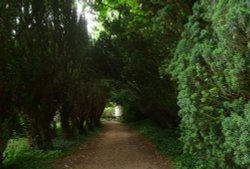 Walsingham Abbey Grounds (3) Wallpaper