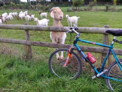Stour Valley Autumn Wallpaper