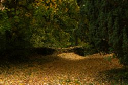 Late Afternoon in the Churchyard, Mixbury, Oxfordshire Wallpaper