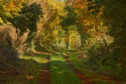 Farm Track near Brill, Buckinghamshire Wallpaper