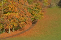 Brough Park in Leek, Staffordshire Wallpaper