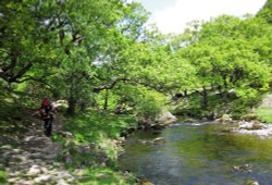 Marvelous  footpath on Watendlath beck Wallpaper
