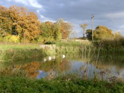 On the Approach to Caen Hill Locks near Rowde, Wiltshire. Wallpaper
