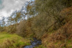 Clough Brook, Wildboarclough, Cheshire Wallpaper