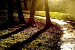 Brough Park, Leek, Staffordshire Wallpaper