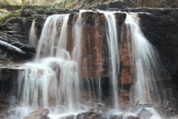 Jackhouse nature reserve .. Oswaldtwistle Wallpaper
