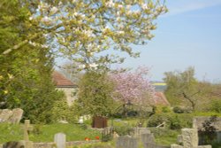Spring from the Churchyard, Stanton St.John, Oxfordshire Wallpaper