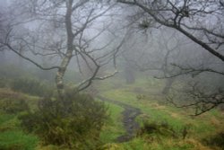 Foggy Path, The Roaches, Upper Hulme, Staffordshire Wallpaper