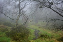Foggy Path, The Roaches, Upper Hulme, Staffordshire