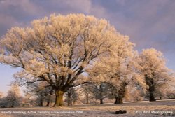 Hoar Frost, nr Acton Turville, Gloucestershire 1994 Wallpaper