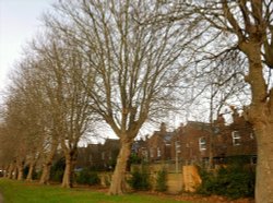 Stonebridge Rec. NW10 Wallpaper