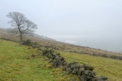 Hillside by The Roaches above Upper Hulme, Staffordshire Moorlands Wallpaper
