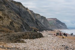 The Jurassic Coast at Charmouth