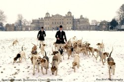 Duke of Beaufort's Hounds, Badminton Park, Gloucestershire 1994 Wallpaper