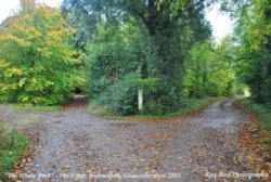 The White Post, Verge Woodland, Badminton, Gloucestershire 2015 Wallpaper