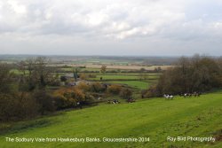 Sodbury Vale from Hawkesbury Banks, Gloucestershire 2014 Wallpaper