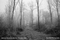 Alderton Grove, Alderton, Wiltshire 1994 Wallpaper
